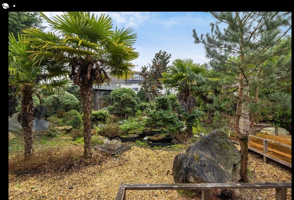 Complete tuin GRATIS af te halen – grote keien, palmbomen, Tuin en Terras, Ophalen