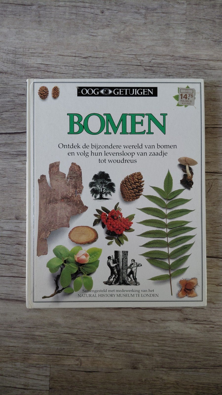 Ooggetuigen: Bomen - Ontdek de bijzondere wereld van bomen, Ophalen of Verzenden, Gelezen, Bloemen, Planten en Bomen