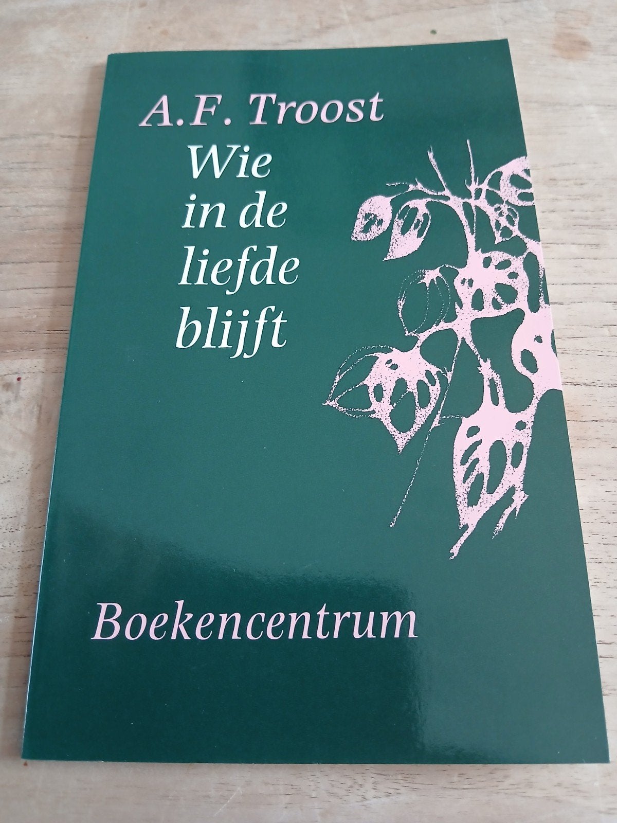 A.F. Troost - Wie in de liefde blijft (Boekencentrum), Boeken, Ophalen of Verzenden, Zo goed als nieuw, A.F. Troost, Christendom | Protestants
