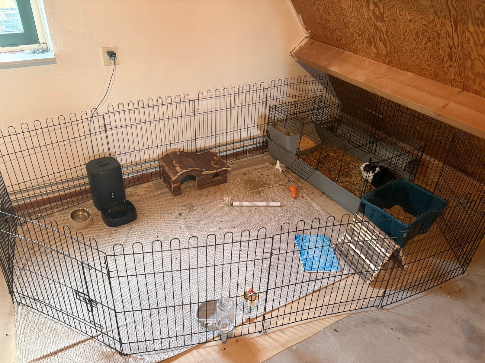 Konijnhok met accessoires, Dieren en Toebehoren, Gebruikt, Konijn, Hok, 75 tot 110 cm
