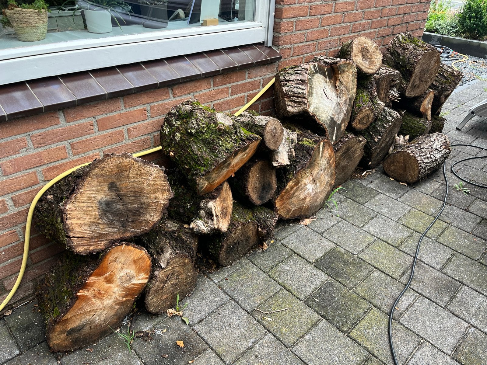 Eiken- en wilgenhout: vers en gedroogd brandhout, Minder dan 3 m³, Ophalen, Eikenhout, Blokken