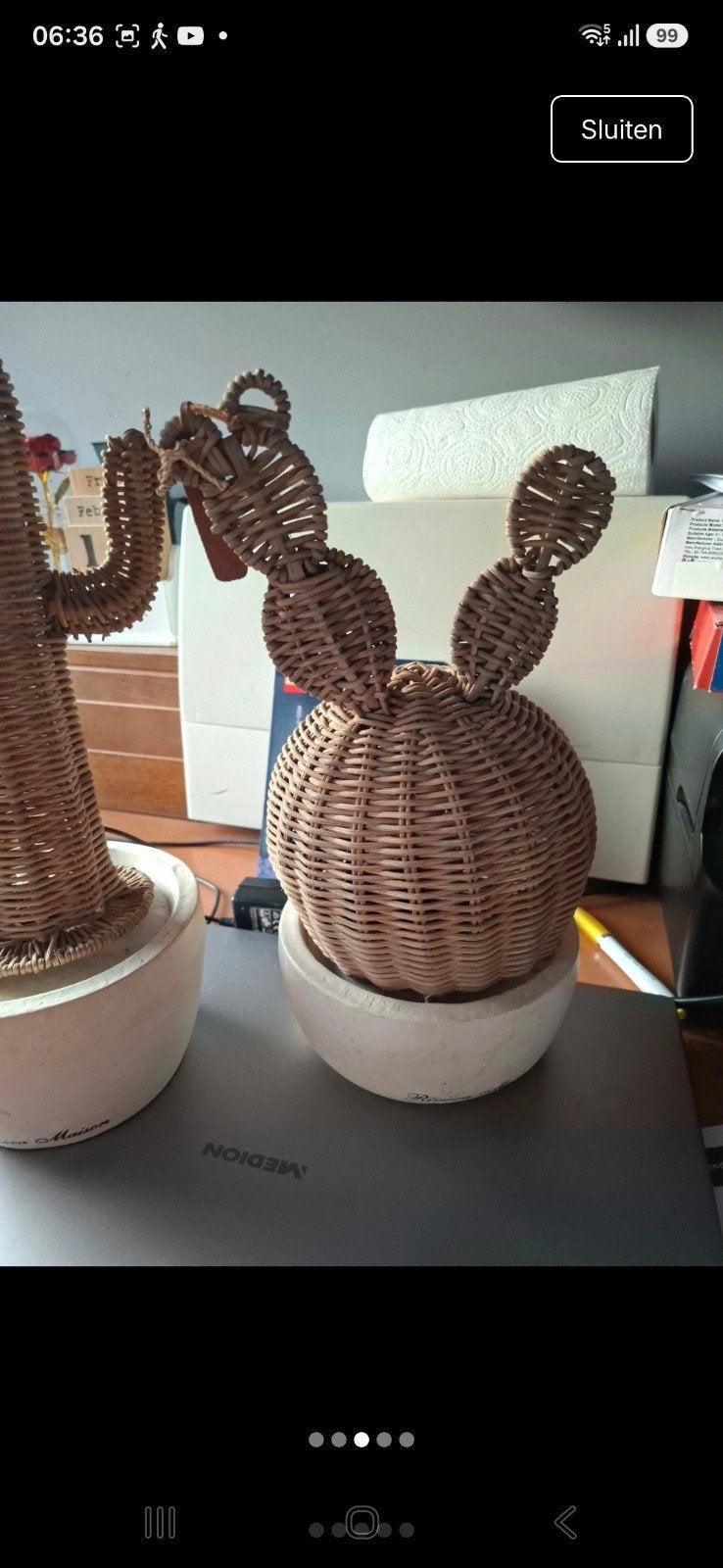 Riviera Maison Cactussen in Rotan en Keramiek Pot, Beige, Ophalen of Verzenden, Natuurlijk materiaal, Landelijk