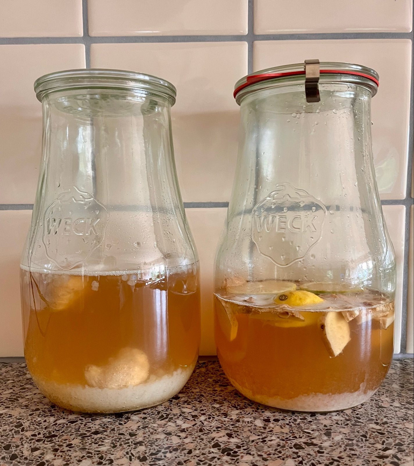Waterkefir korrels, Ophalen of Verzenden