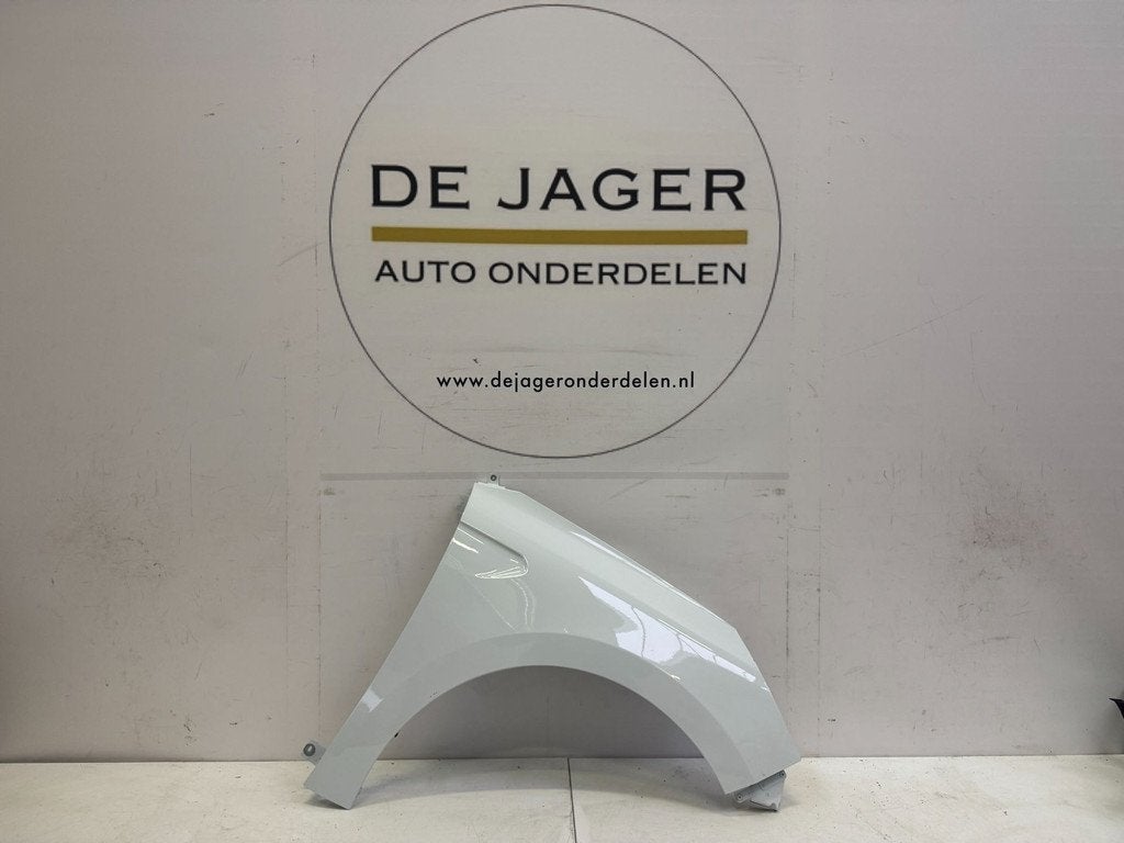 RENAULT CLIO 5 VOORSCHERM SPATBORD RECHTS 625804013R, Auto-onderdelen, Renault Group, Gebruikt, Contact.group@renault.com, Renault