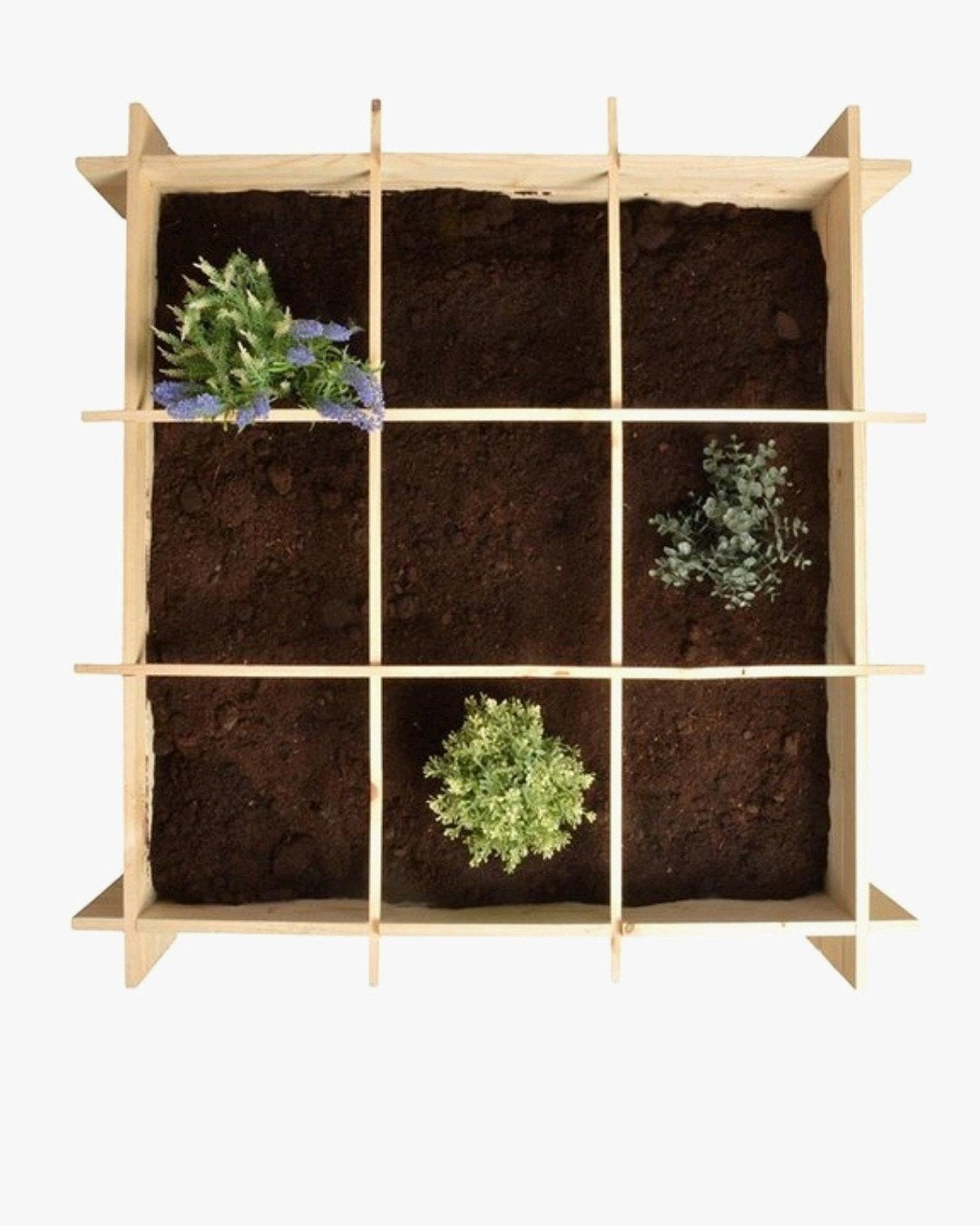 Moestuin bak, Ophalen, Rechthoekig, Hout, 100 cm of meer