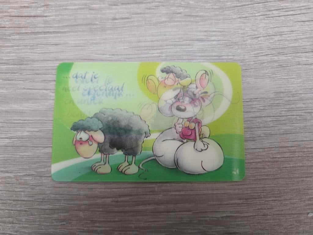 Diddl pasje met bewegende voorkant, Ophalen of Verzenden, Diddlina, Zo goed als nieuw