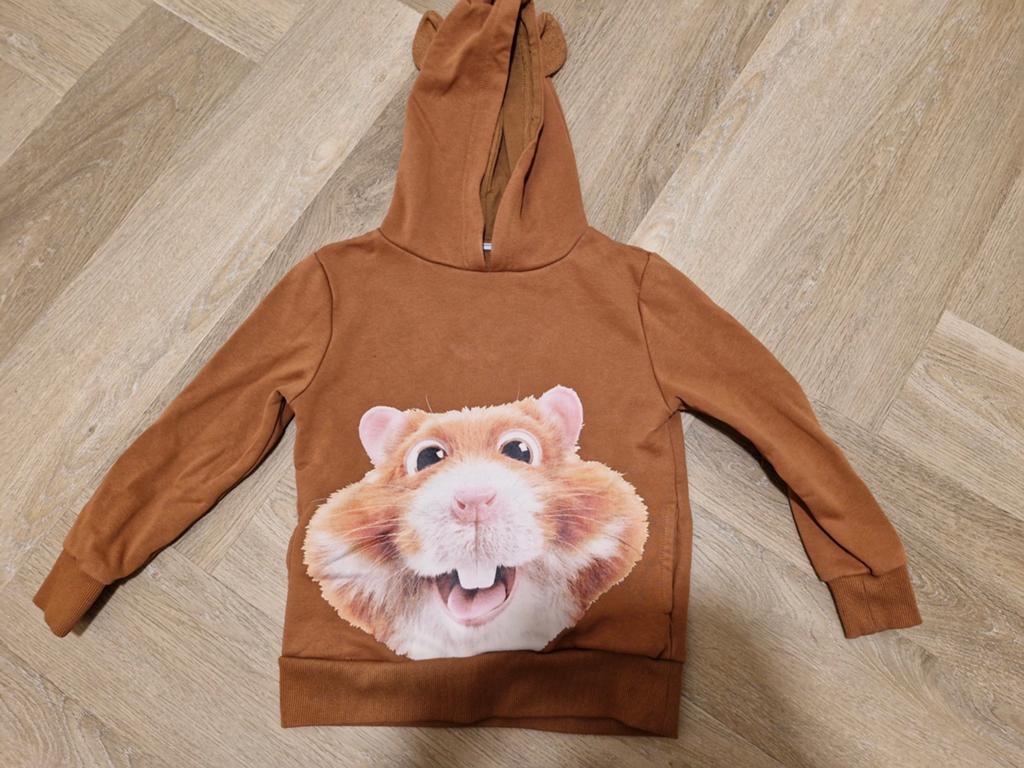 Trui 110/116 hamster, Ophalen of Verzenden, Gebruikt, Meisje, Trui of Vest