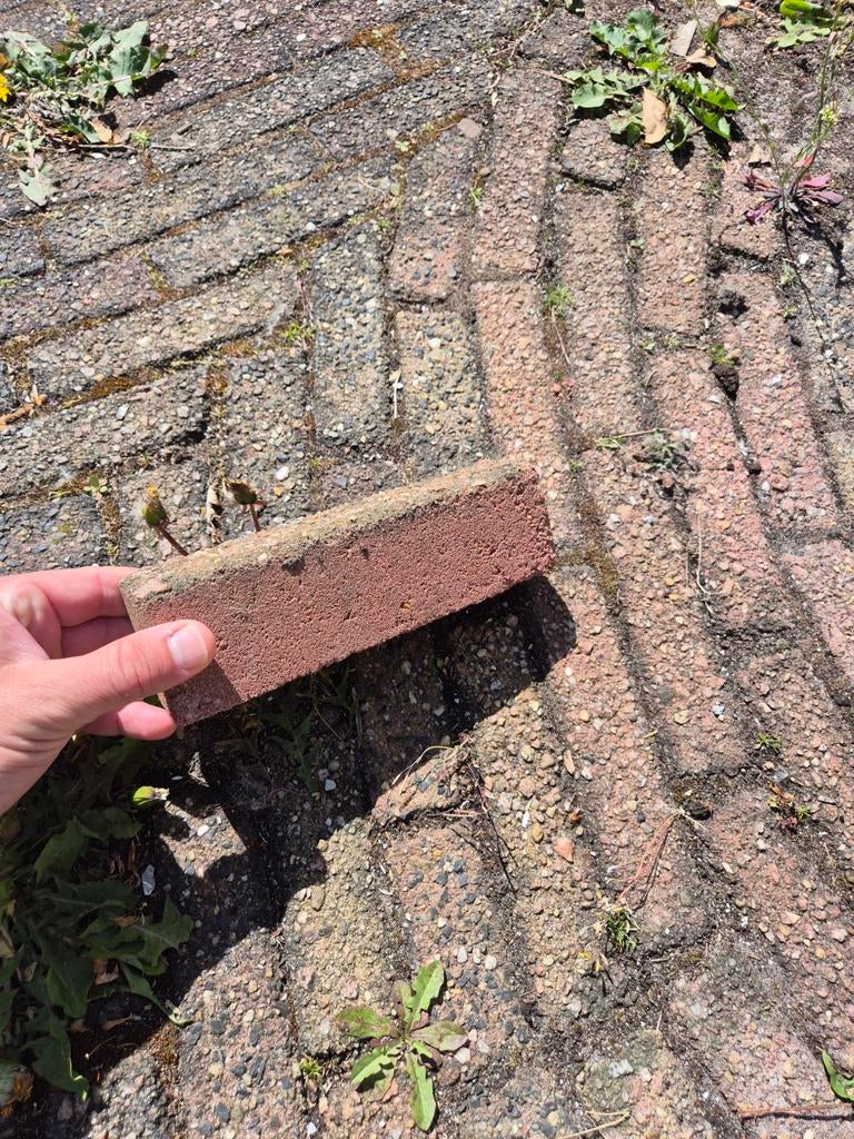 Gebruikte bakstenen voor terras of tuinpad, Doe-het-zelf en Verbouw, Metselstenen, Ophalen of Verzenden, Gebruikt, Bakstenen