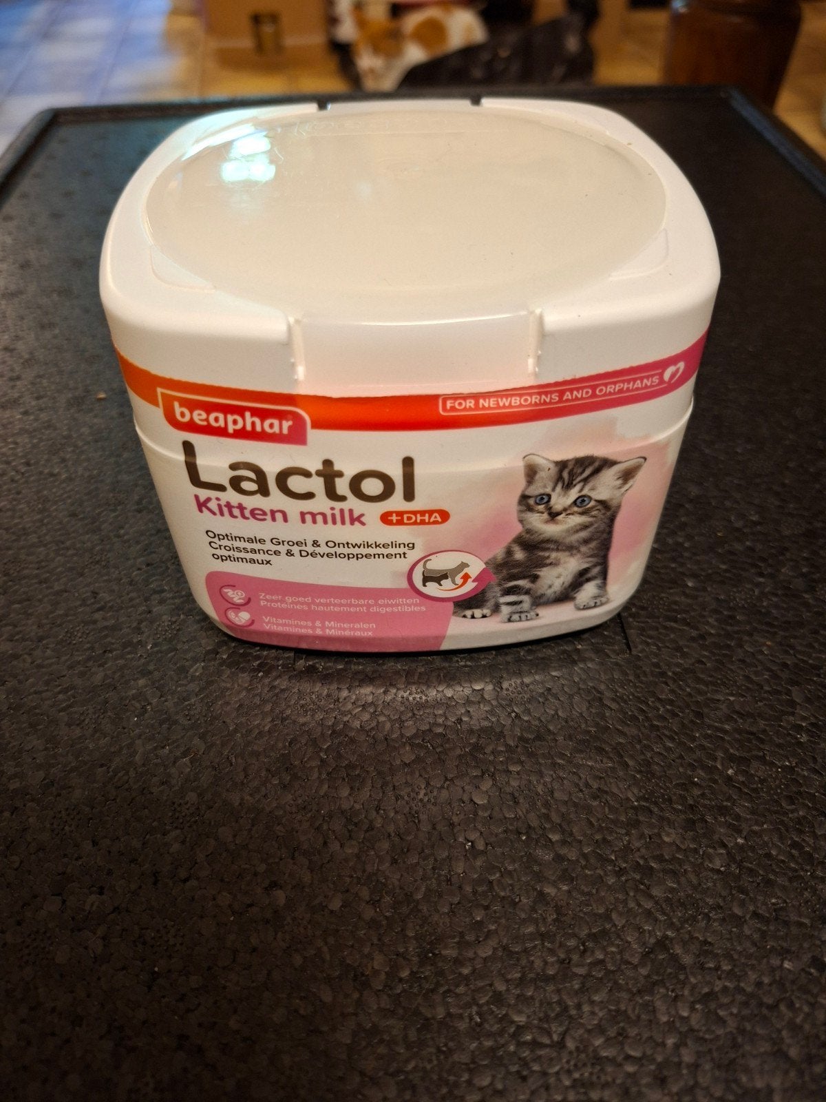 Lactol kittenmelkpoeder met flesje, Ophalen of Verzenden, Nieuw