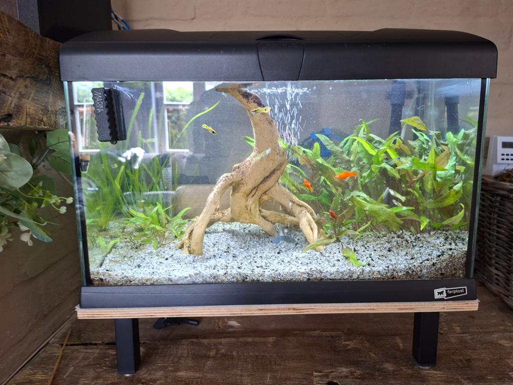 Aquarium compleet, Ophalen, Zo goed als nieuw