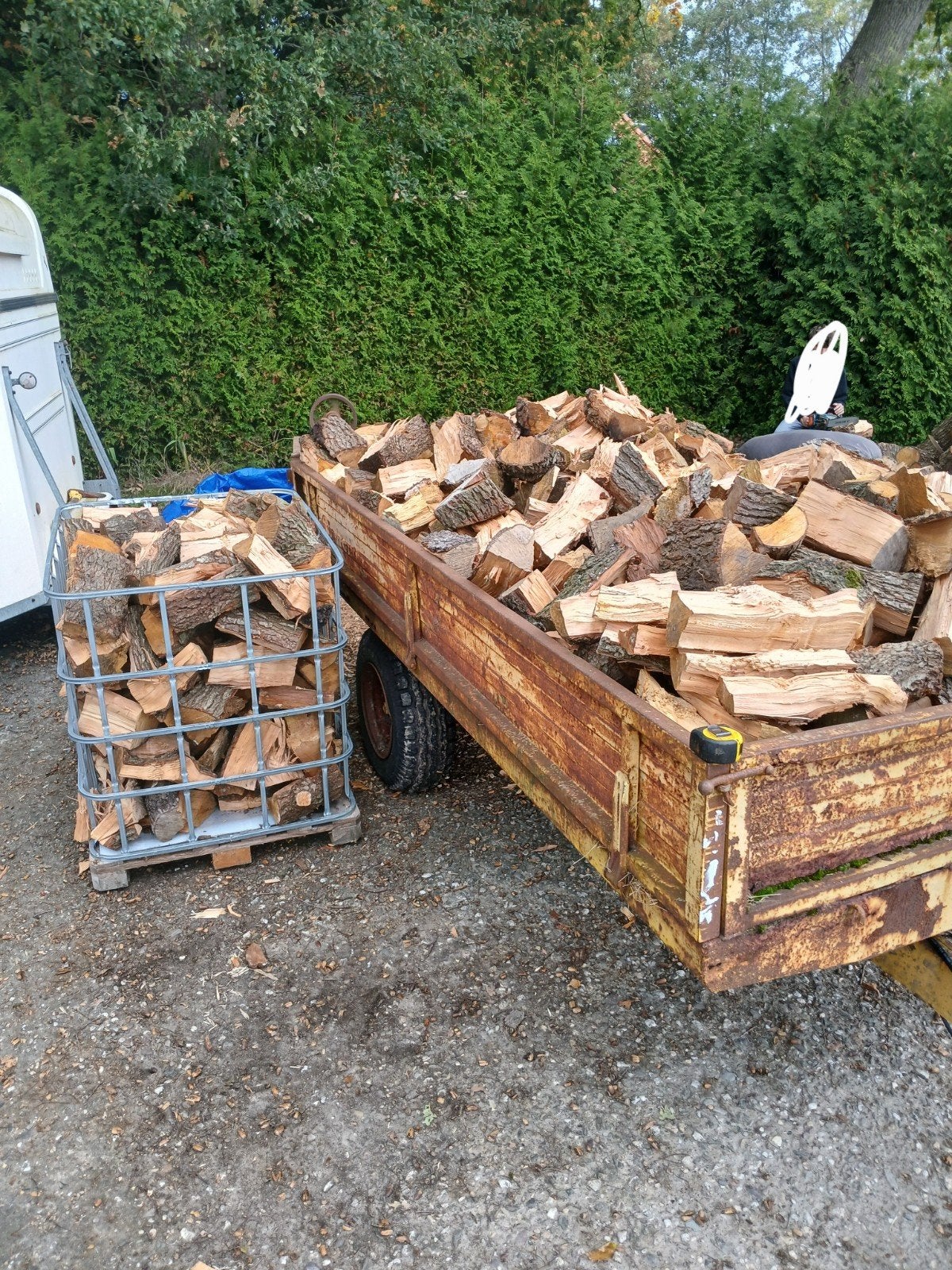 openhaard hout, Tuin en Terras, 6 m³ of meer, Ophalen, Overige houtsoorten