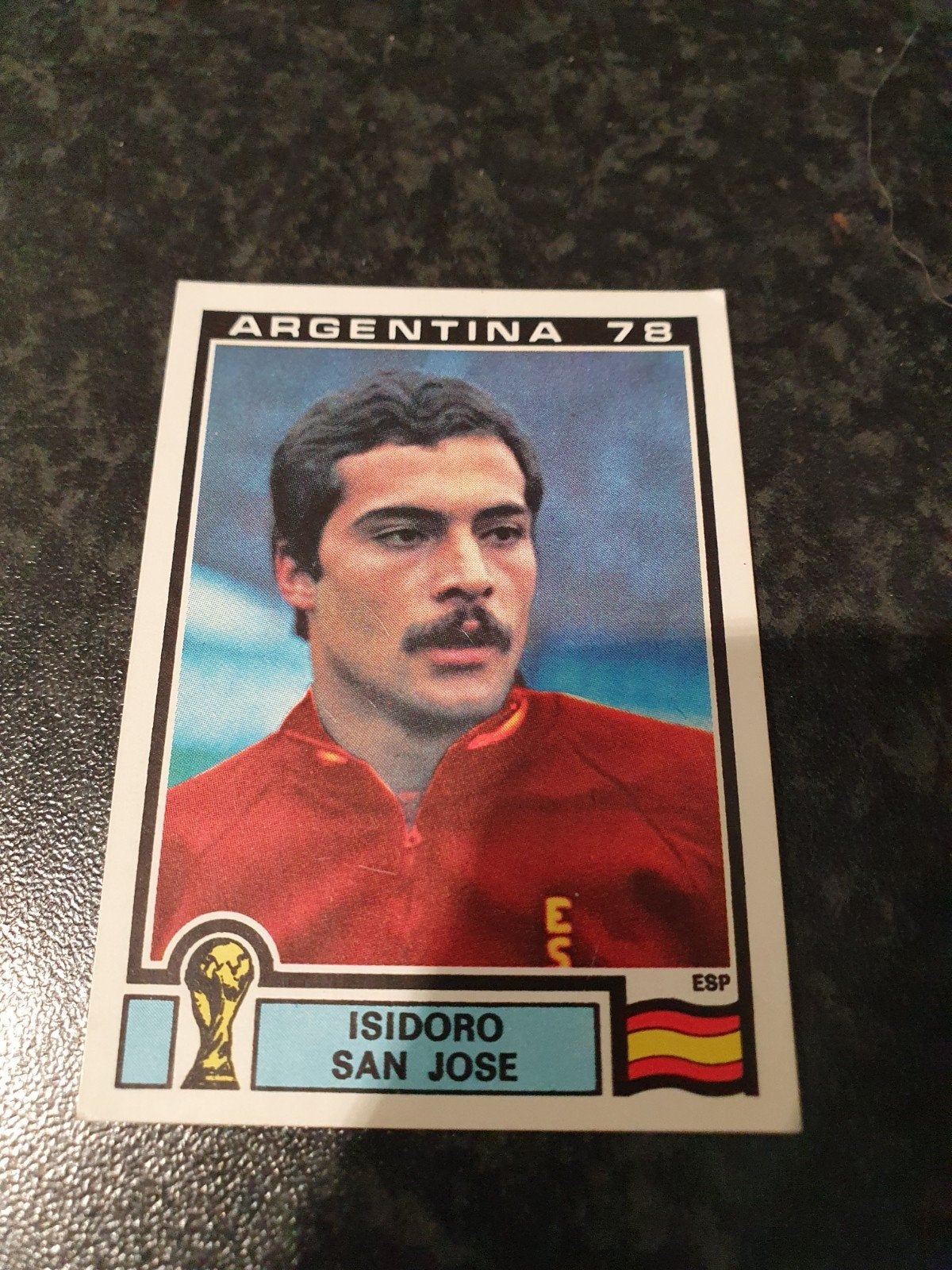Panini Argentina 78 - Nmr 213, Ophalen of Verzenden, Zo goed als nieuw, Sticker