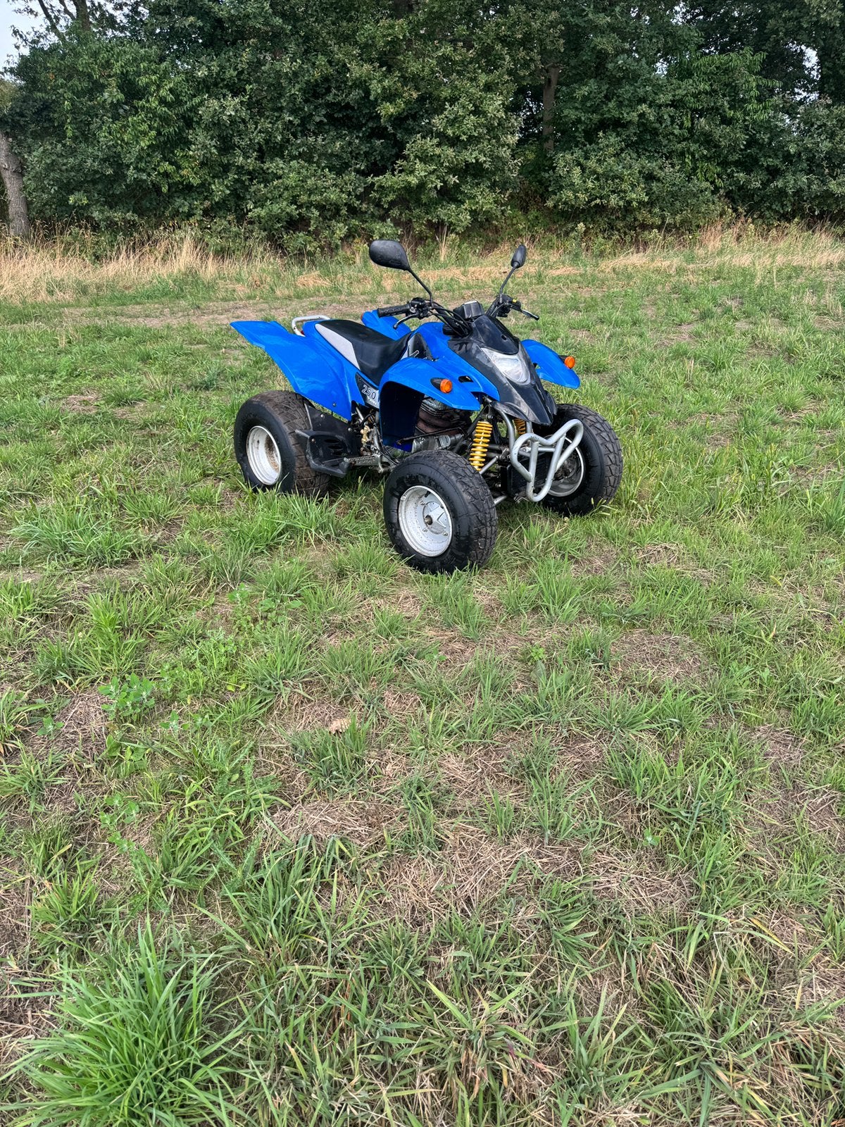 Scm 150 quad 250cc, Ophalen, 250 cc