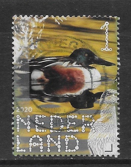 2020, Boerenlandvogels, Slobeend [3825] (K0902), Ophalen of Verzenden