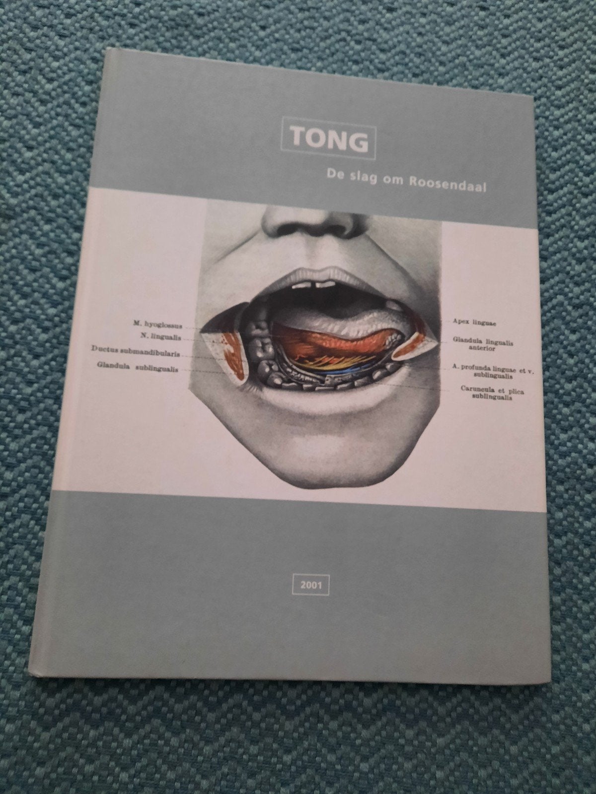 TONG: De slag om Roosendaal - Kunstboek hardcover, Ophalen of Verzenden