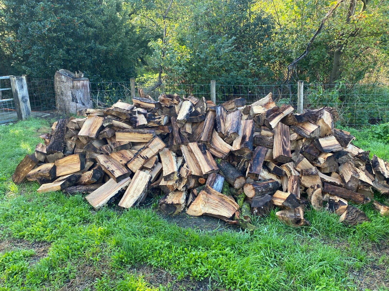 Gekloofd essen hout