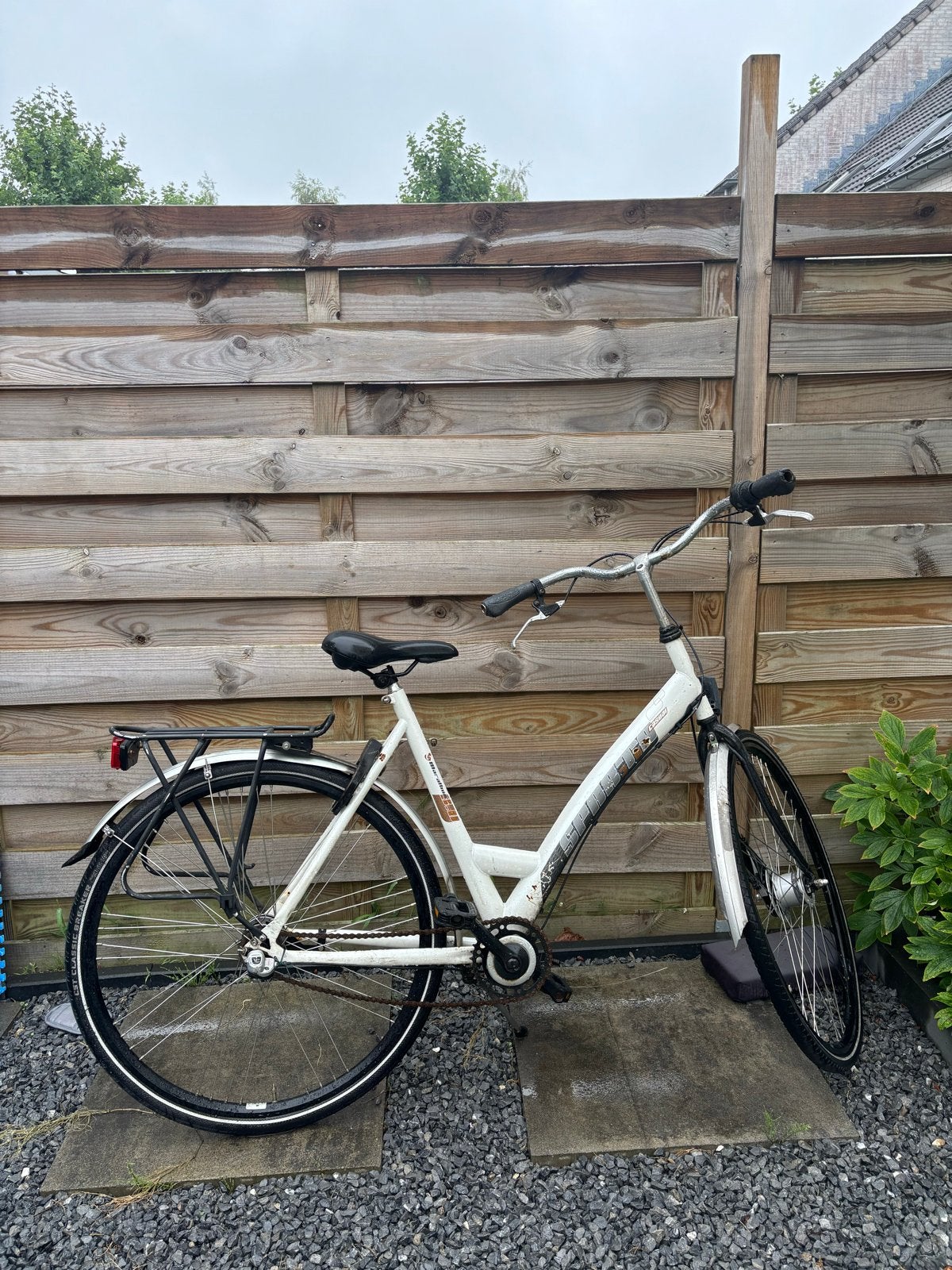 Damensfieten, Ophalen, Velgrem, Batavus, 53 tot 56 cm