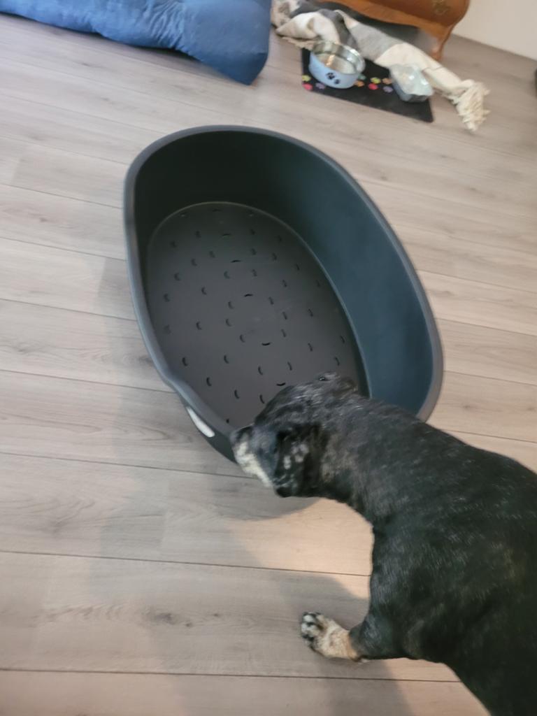 Aangeboden kunstof honden mand, Ophalen of Verzenden