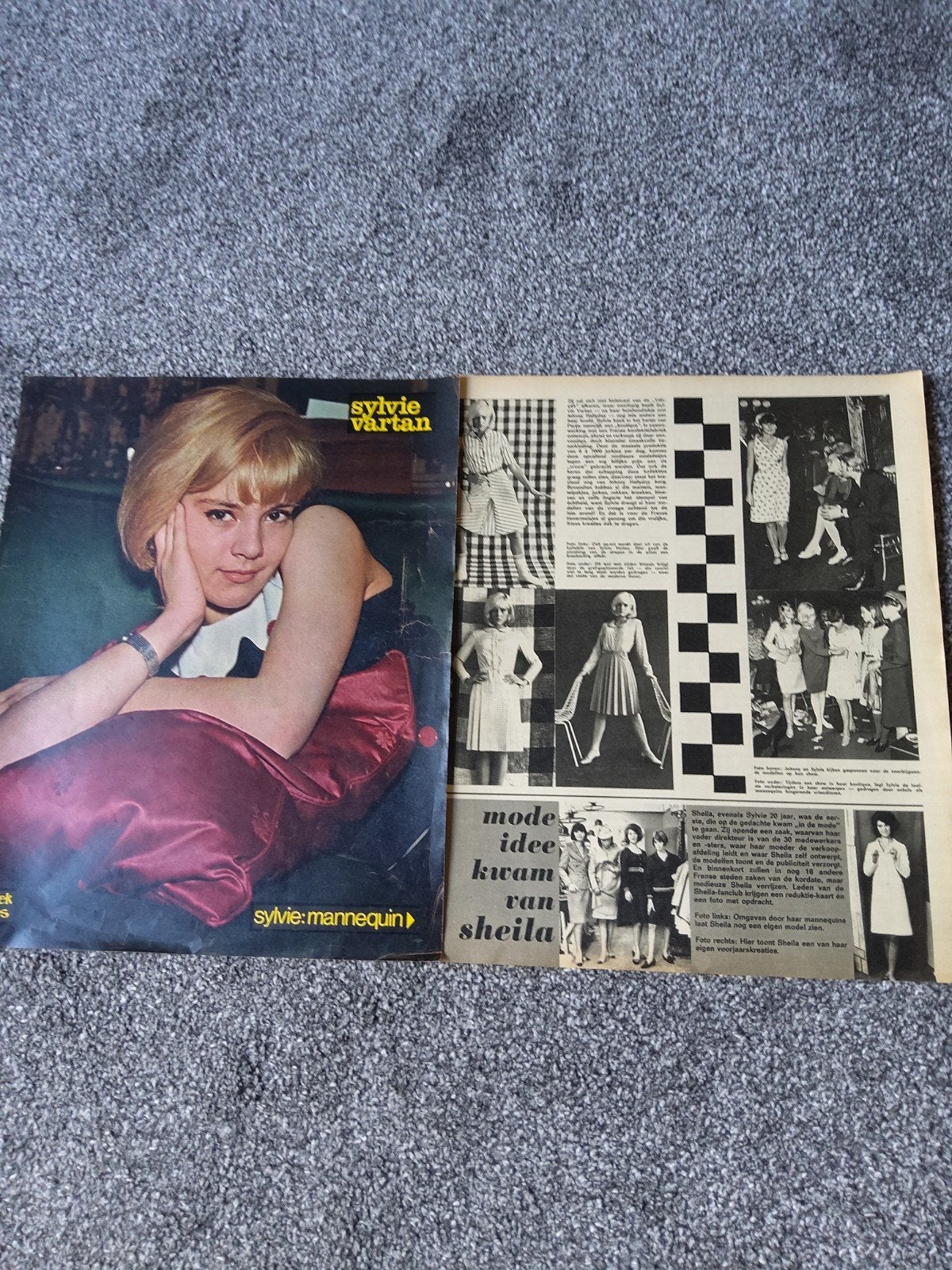Sylvie Vartan, Ophalen of Verzenden, Gebruikt, Boek, Tijdschrift of Artikel