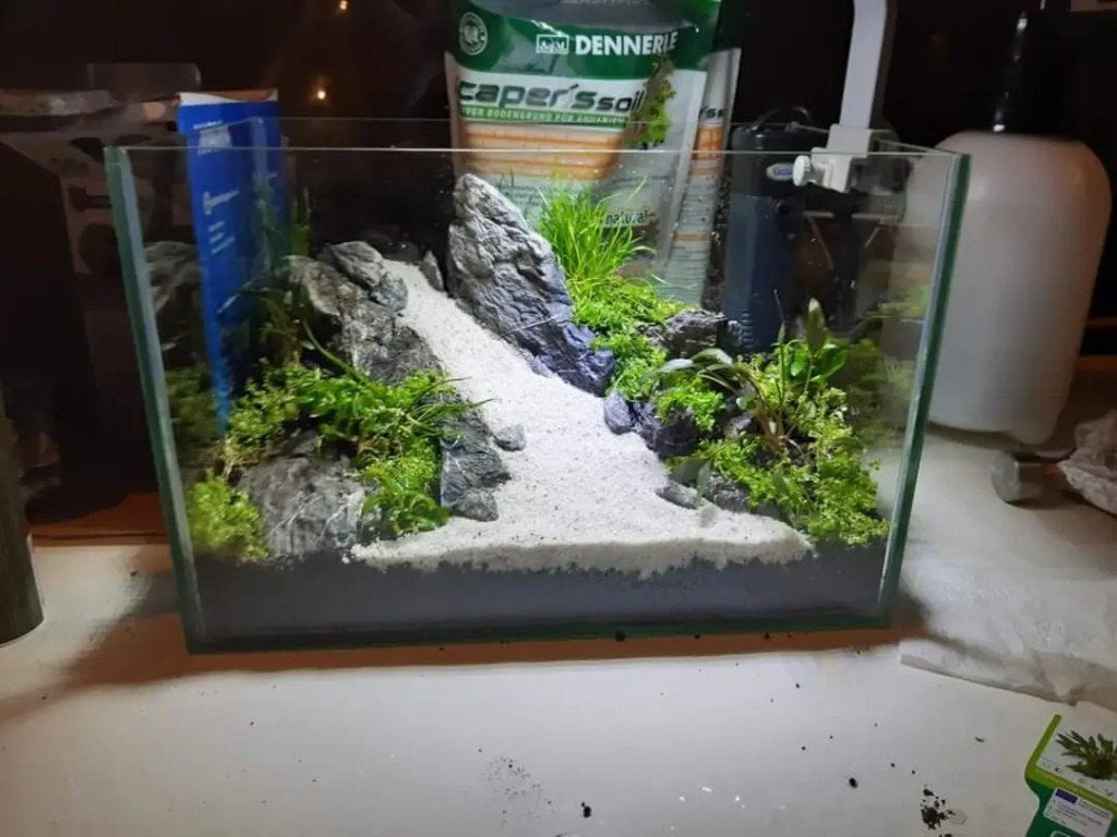 Aquarium 30x20x20 glas, Dieren en Toebehoren, Ophalen, Zo goed als nieuw, Leeg aquarium