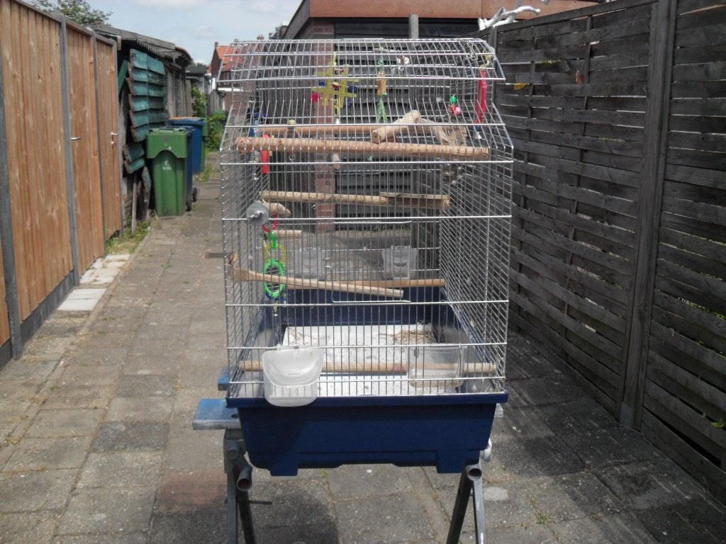 div kooien/vogelspullen /v.a 10 cent, Dieren en Toebehoren, Ophalen, Hout, Vogelkooi