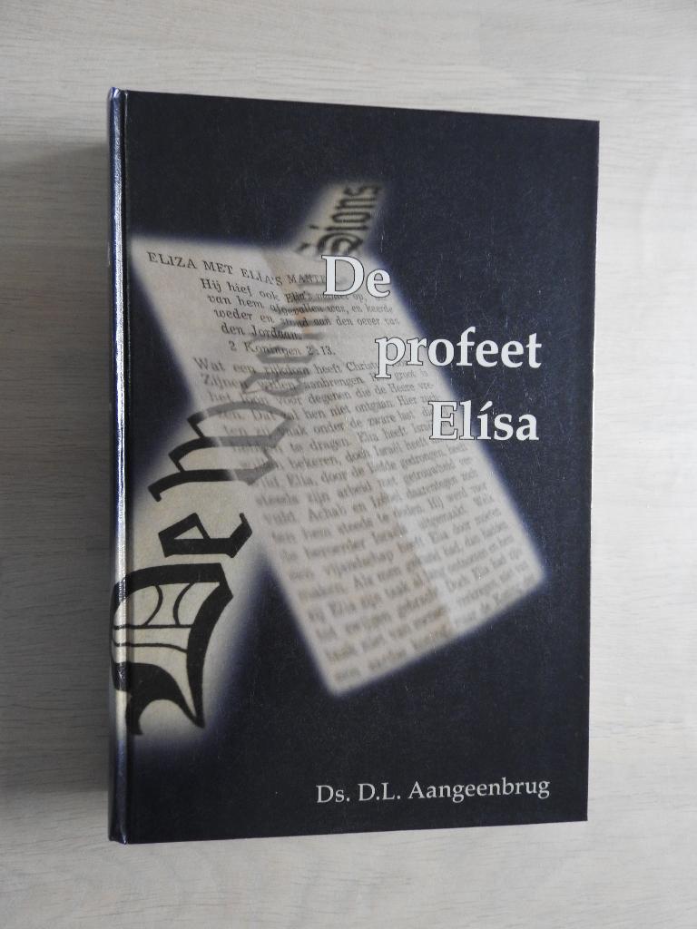 Ds. D.L. Aangeenbrug - De profeet Elisa, Ophalen of Verzenden, Zo goed als nieuw