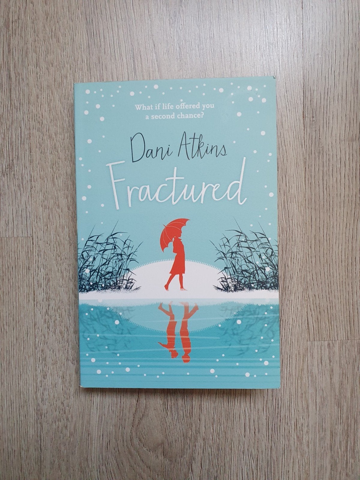 NIEUW Fractured - Dani Atkins, Ophalen of Verzenden, Nieuw, Dani Atkins, Amerika