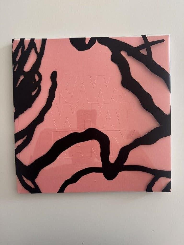 KAWS: WHAT PARTY - Brooklyn Museum boek, Ophalen of Verzenden, Nieuw, Fotografie algemeen