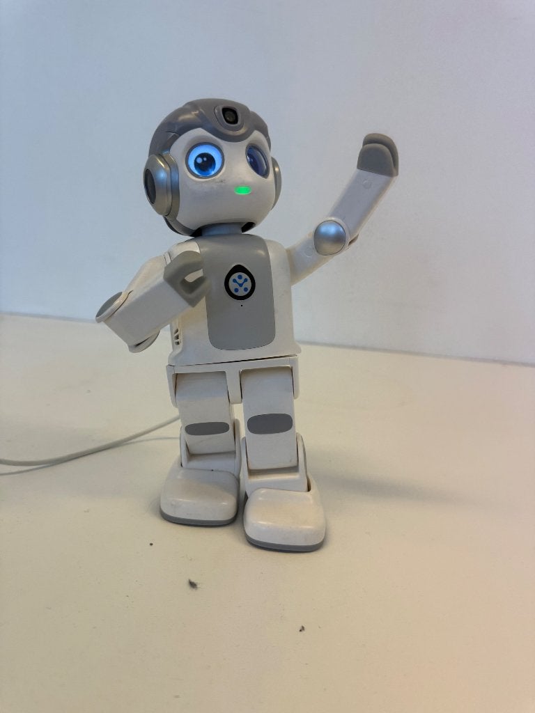 Zorgrobot Maatje – Sociale Robot (Thuis, Onderwijs en Zorg), Ophalen, Gebruikt