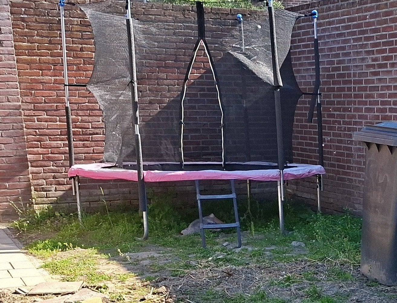 Gebruikte trampoline met veiligheidsnet en ladder, Ophalen, Gebruikt