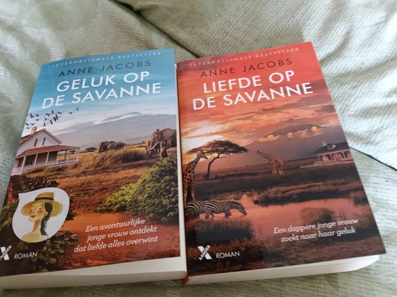 set boeken, Boeken, Ophalen of Verzenden, Zo goed als nieuw