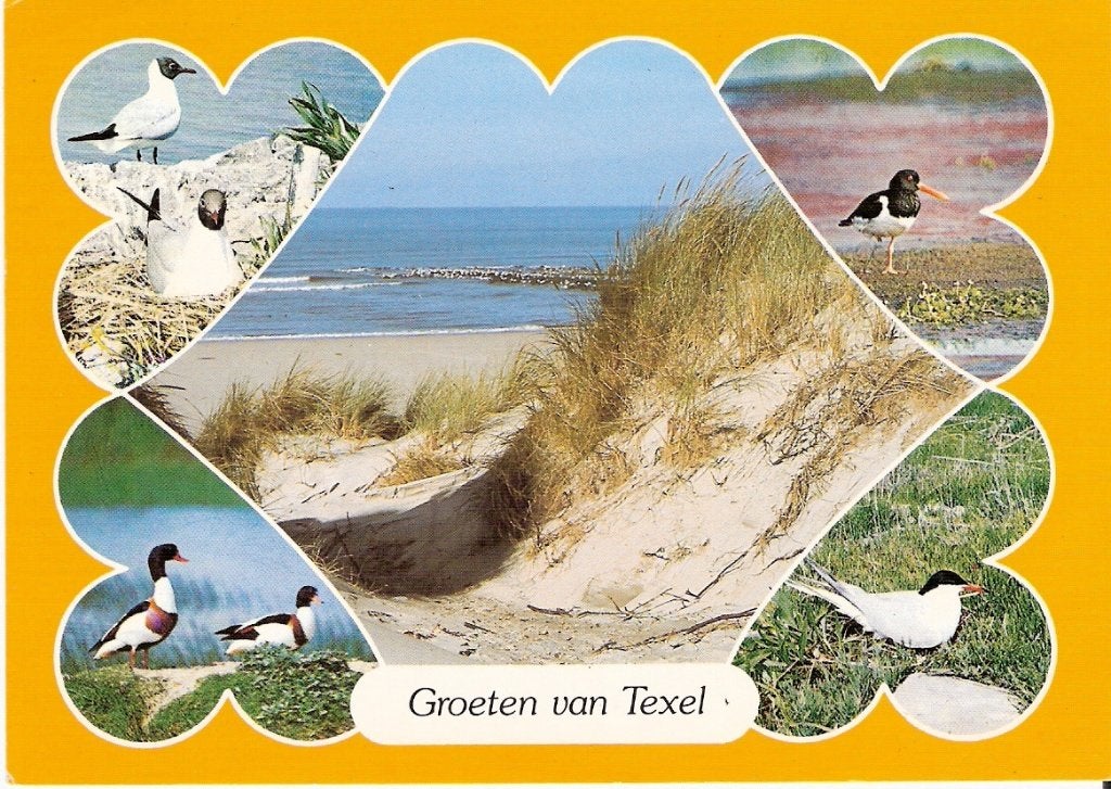 Texel  340, Ophalen of Verzenden, Voor 1920, Waddeneilanden