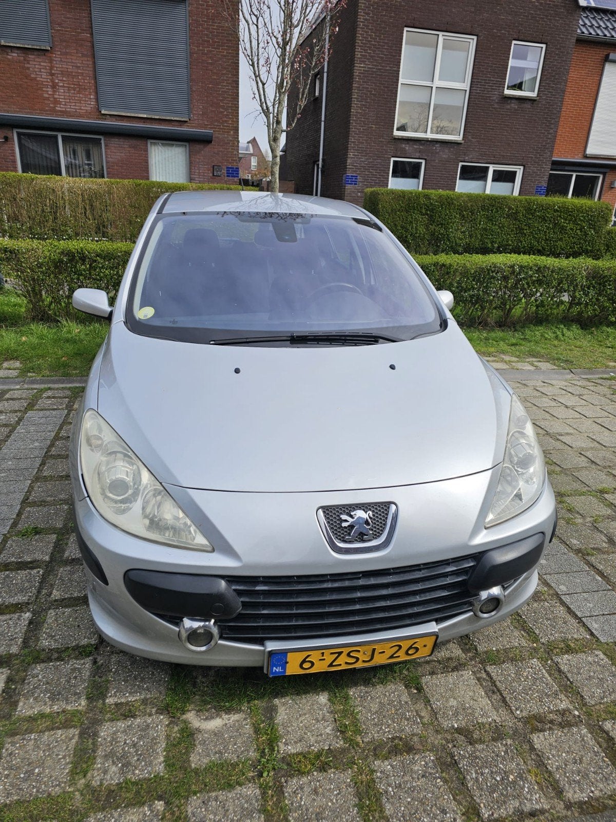 Peugeot 307 1.6 16V 5DR 2006 Grijs, Voorwielaandrijving, 4 cilinders, 635 kg, 14 km/l