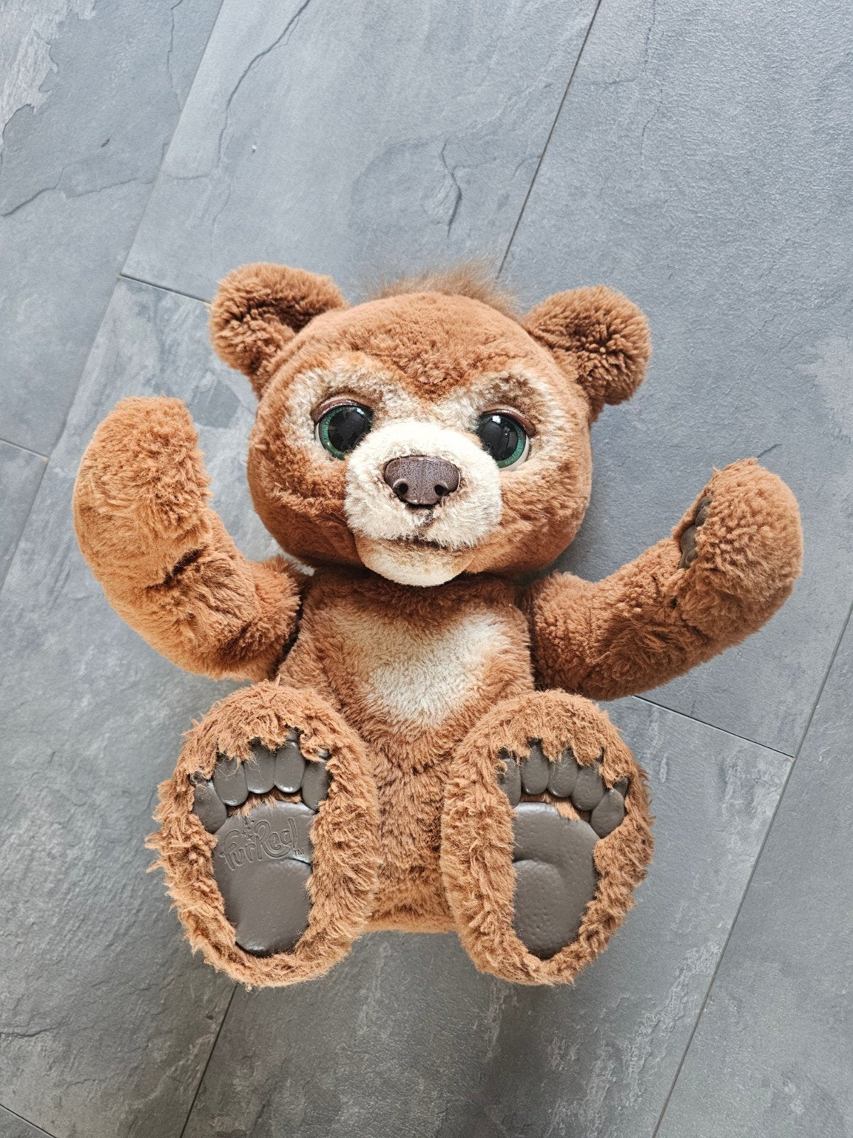 FurReal Friends Cubby de nieuwsgierige beer, Ophalen