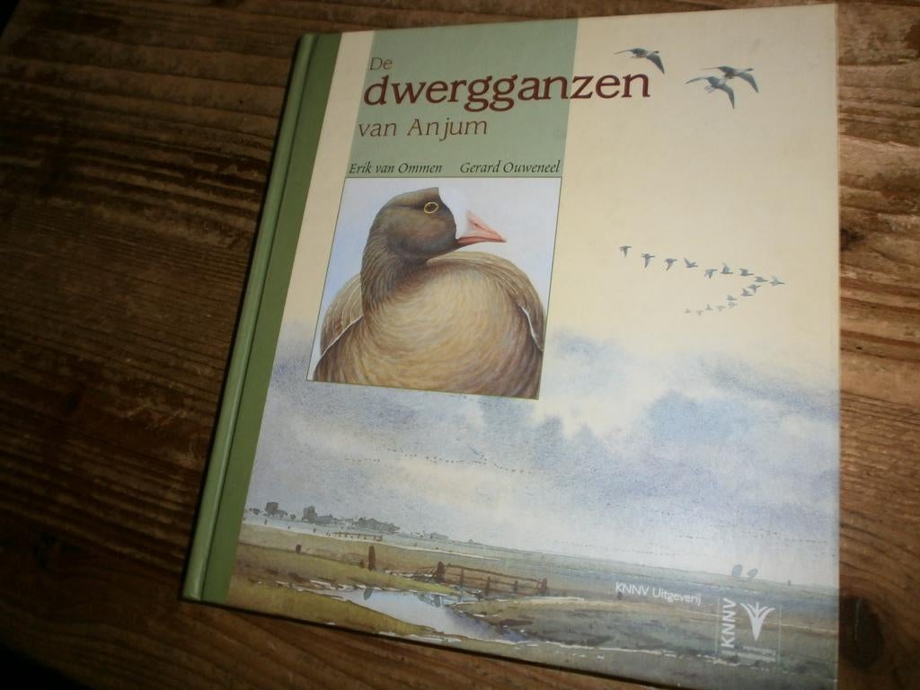 de dwergganzen van anjum erik van ommen mooi boek, Ophalen of Verzenden, Nieuw, Overige onderwerpen