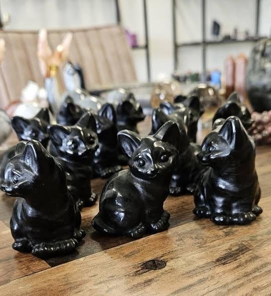zwarte Obsidiaan katten, Ophalen of Verzenden