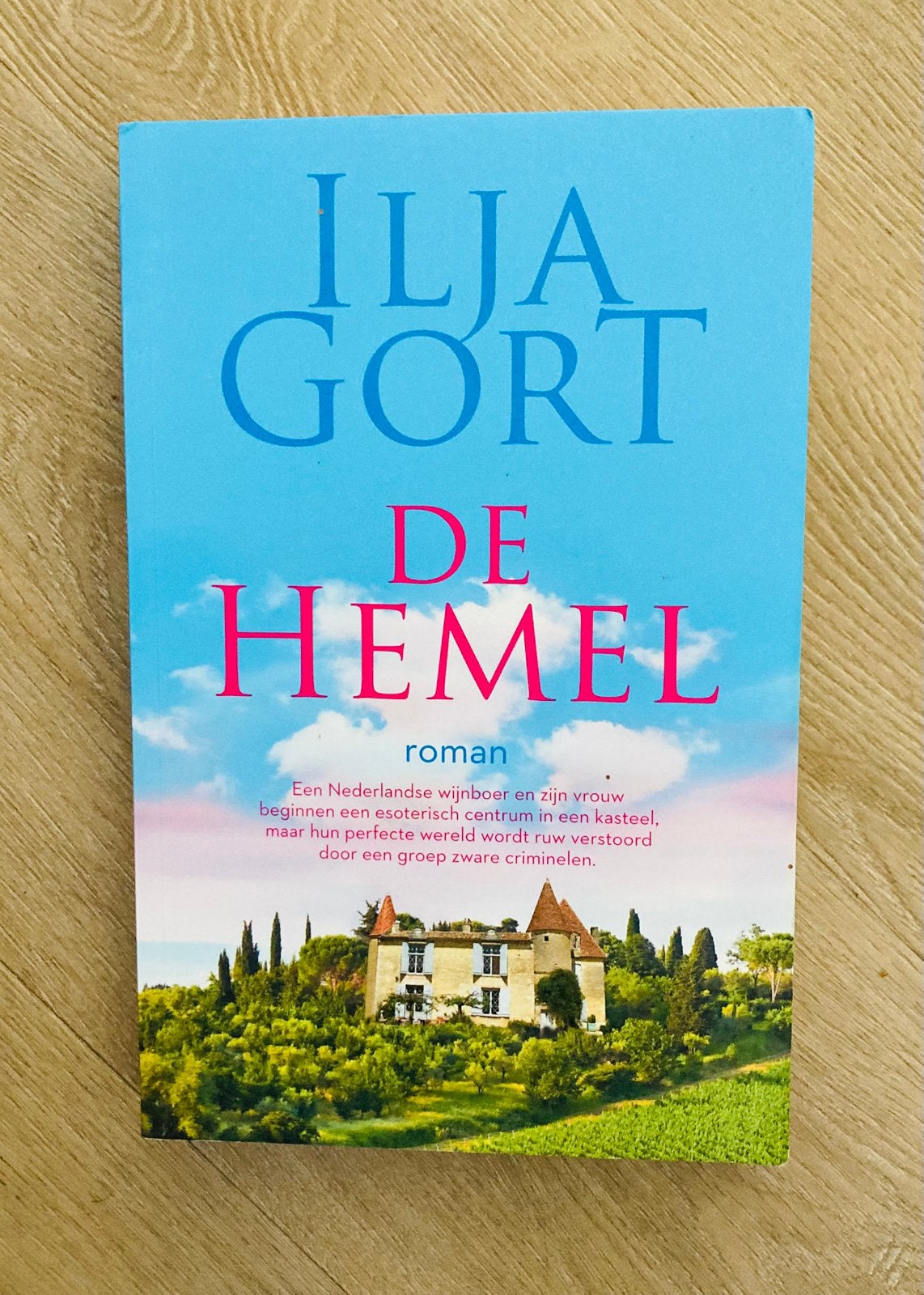 De Hemel - Ilja Gort, Ophalen of Verzenden, Zo goed als nieuw, Nederland, Ilja Gort