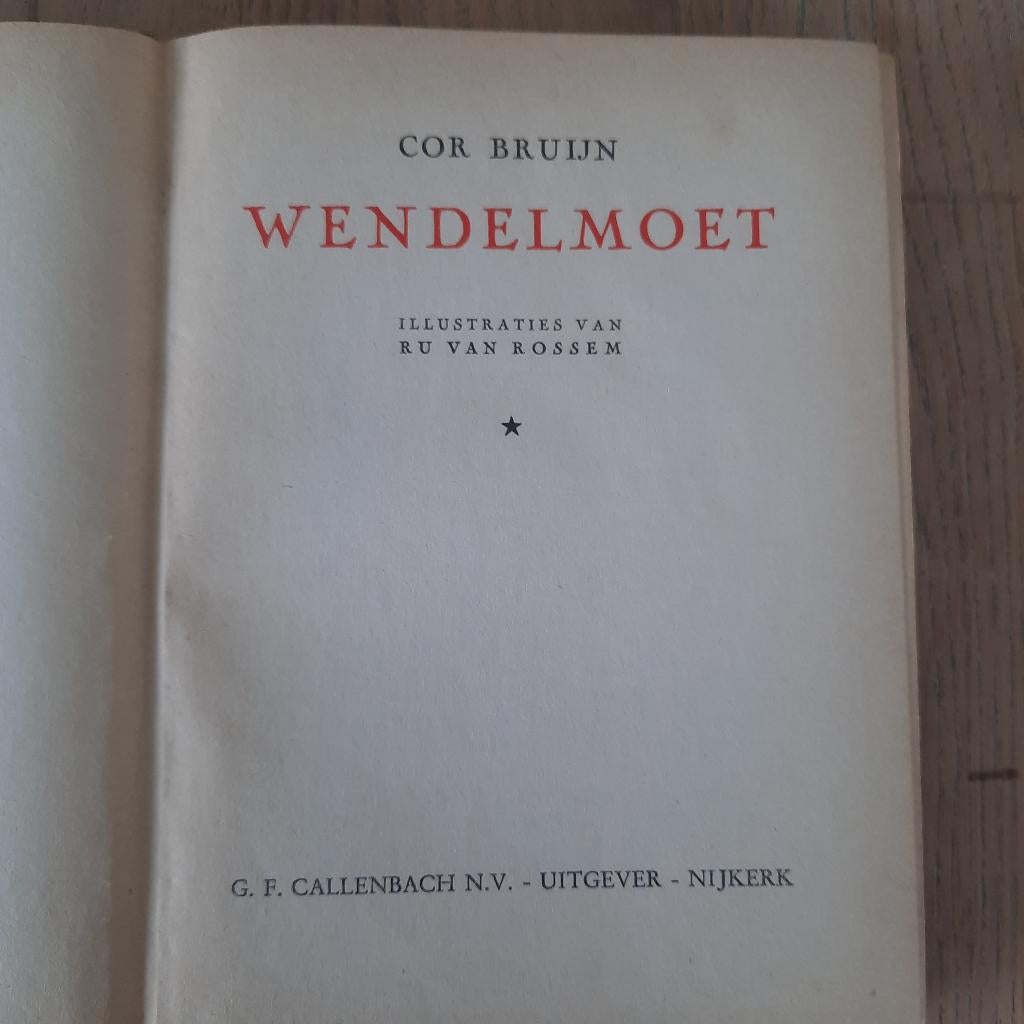 Wendelmoet cor bruijn, Boeken, Ophalen of Verzenden, Gelezen