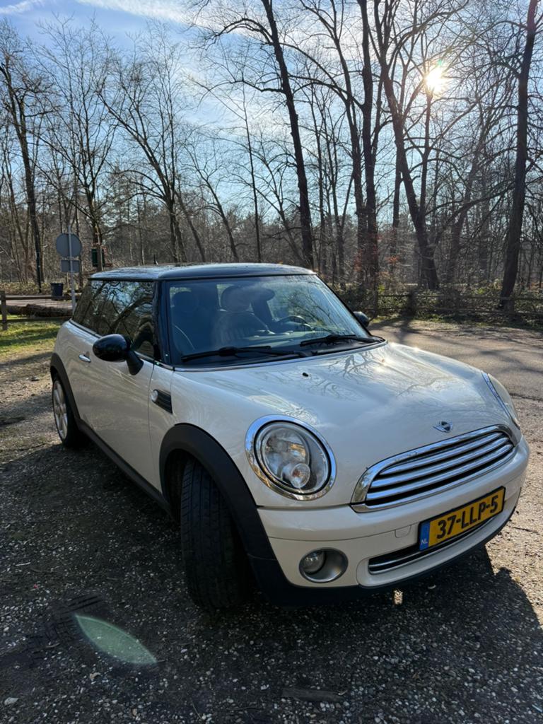 Mini 1.6 16V Cooper 2010 Wit, Ophalen, Voor, Mini, Bumper