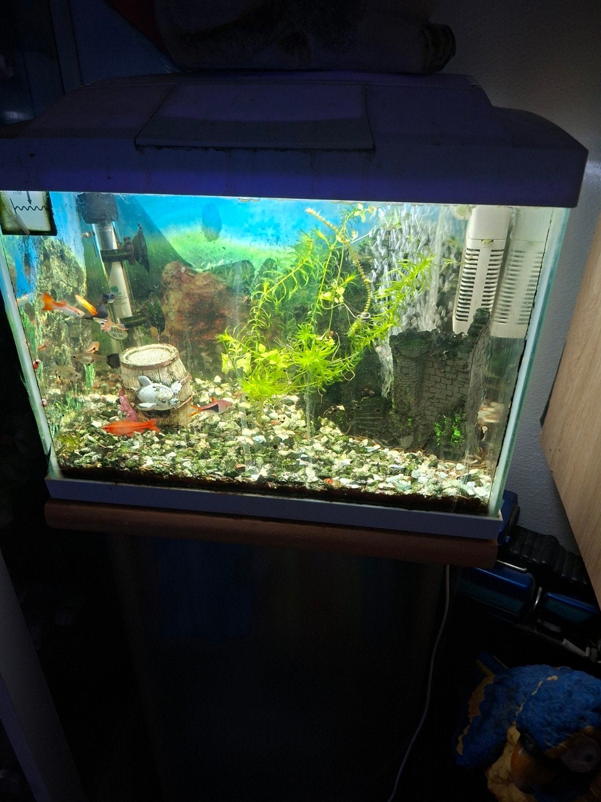 superfish aquarium  50, Ophalen, Gebruikt, Leeg aquarium, Verwarming