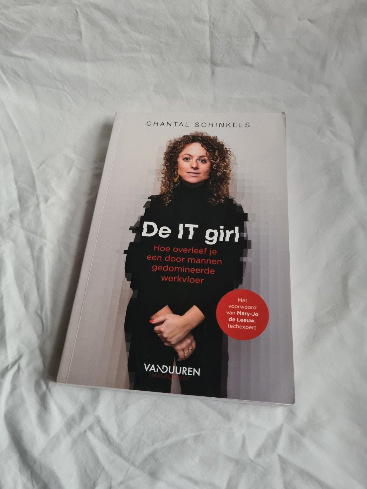 De IT Girl: Gids voor vrouwen in de tech-sector, Ophalen of Verzenden, Zo goed als nieuw, Vakgebied of Industrie, Chantal Schinkels