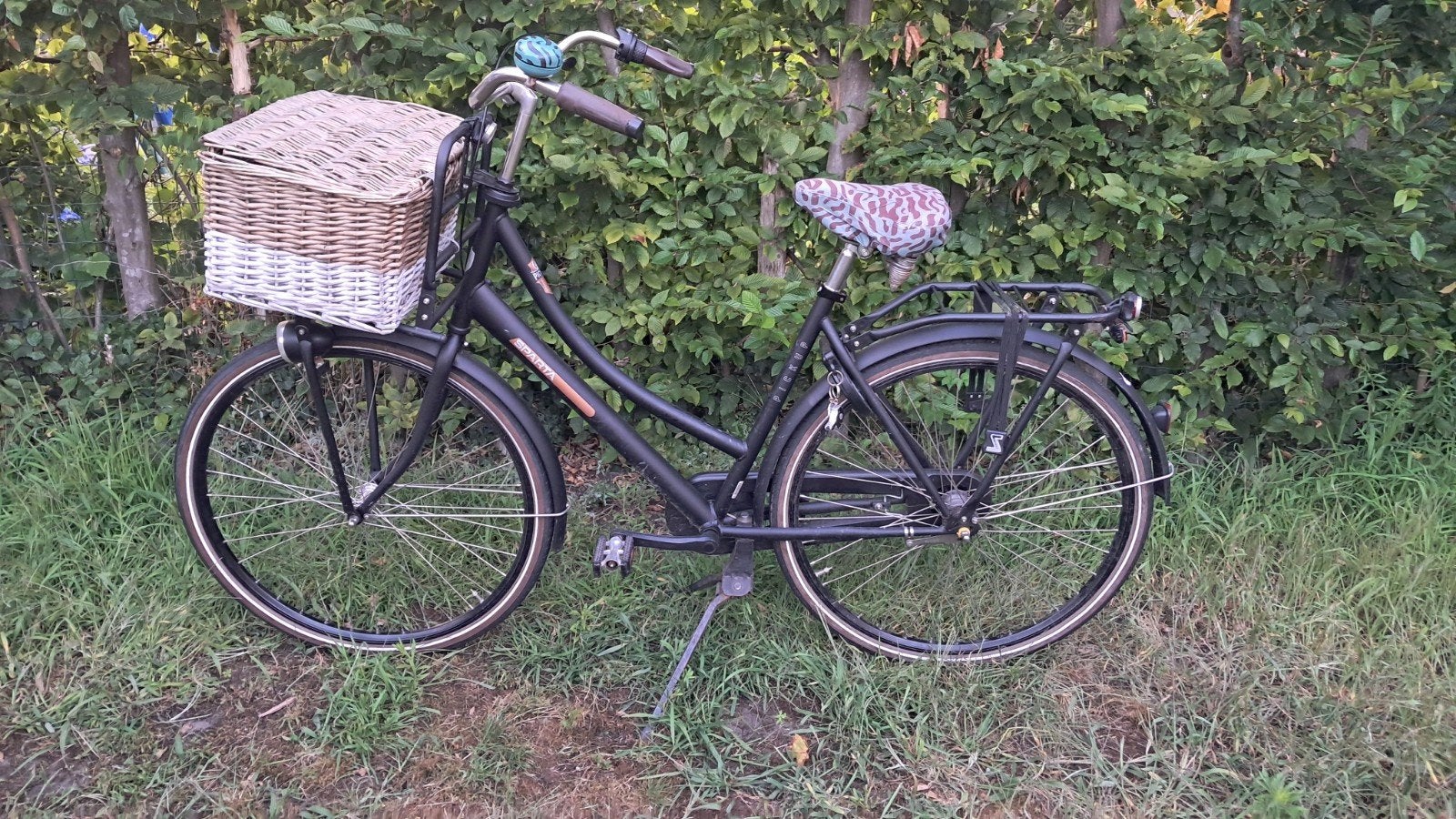 Sparta Pick-Up damesfiets, 3 versnellingen, Ophalen, Terugtraprem, Sparta, Gebruikt