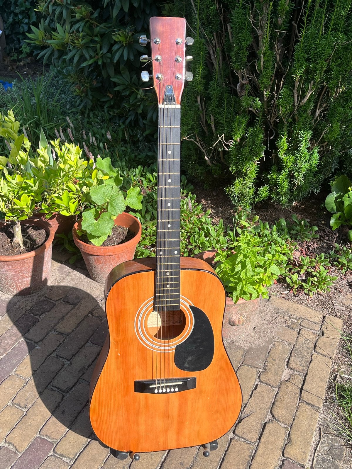 Oude Century WT-705 Western gitaar, Muziek en Instrumenten, Ophalen, Gebruikt, Western- of Steelstringgitaar