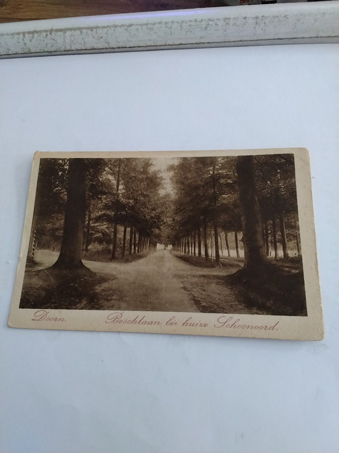 Oude Ansichtkaart Doorn Boschlaan bij huize Schoonoord, Verzamelen, Ophalen of Verzenden, Voor 1920, Gelopen, Utrecht