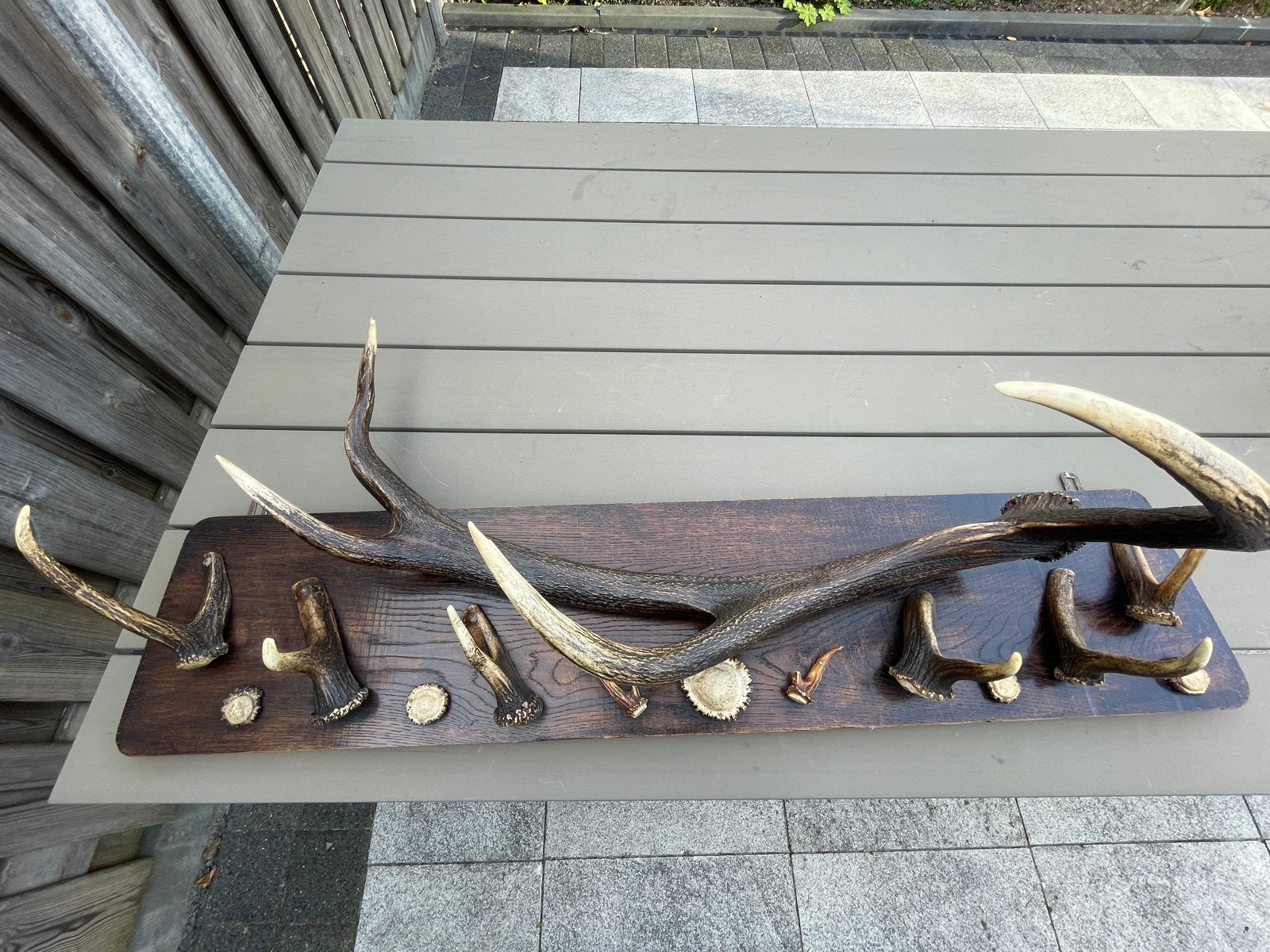 Groot gewei op eikenhouten plank - Decoratie, Ophalen of Verzenden