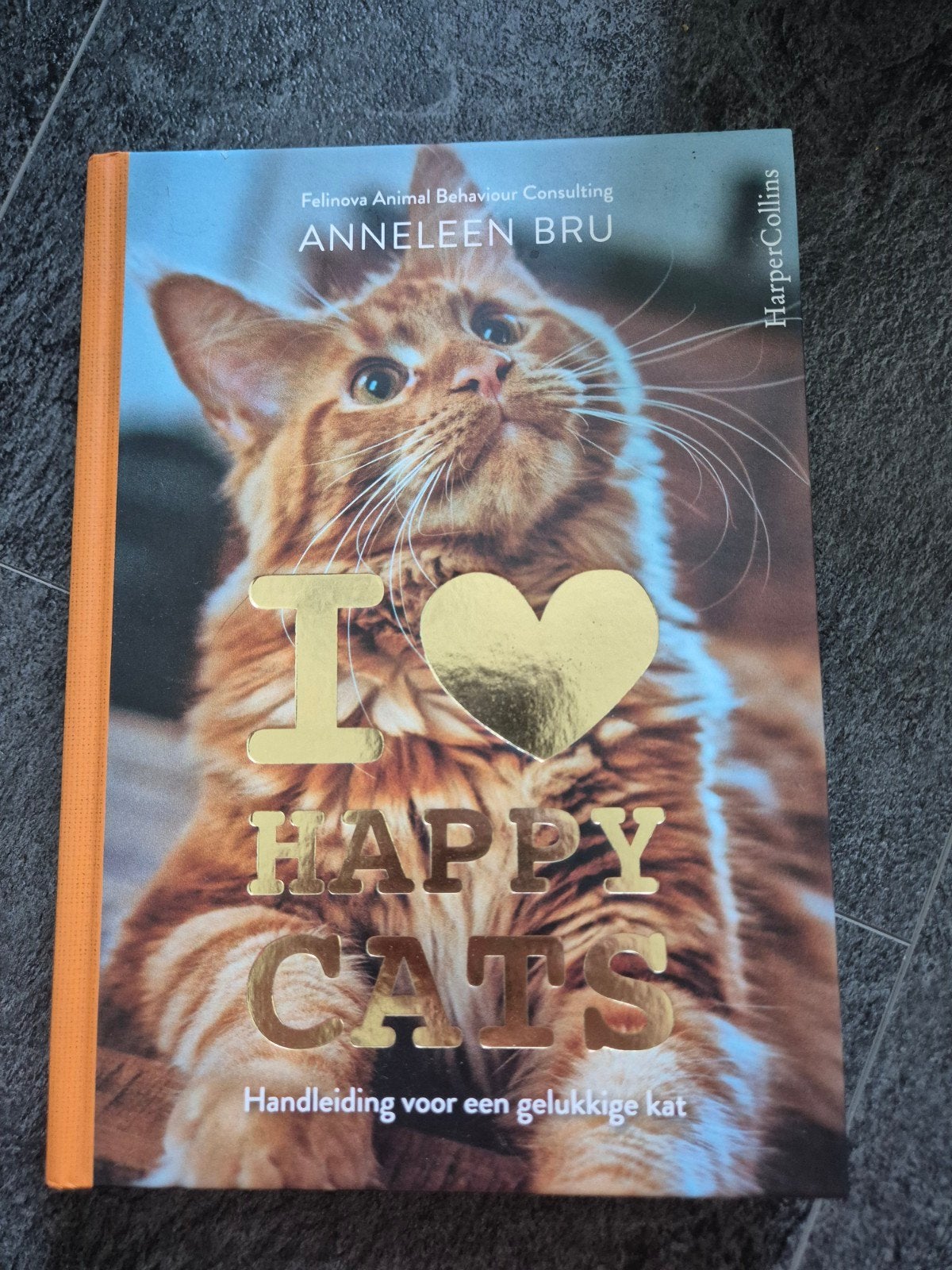 I Love Happy Cats: Handleiding voor een gelukkige kat, Ophalen of Verzenden, Zo goed als nieuw, Katten, Anneleen Bru