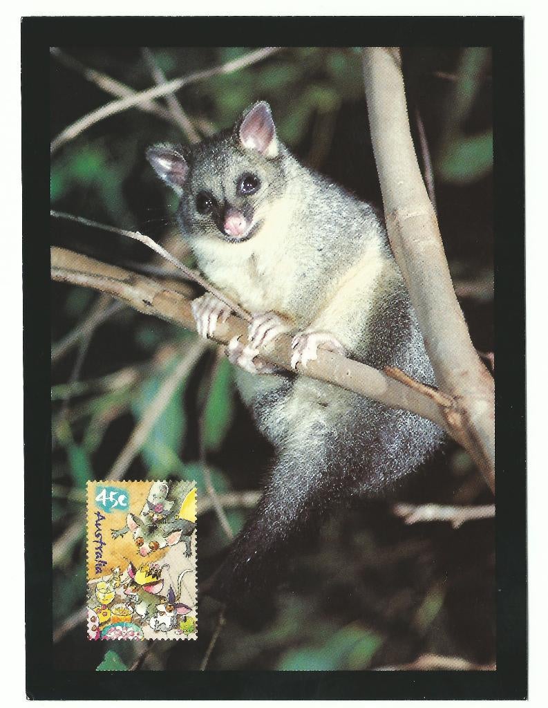 AUSTRALIE 2002 Pre-Paid Postcard met afbeelding Possum, Verzenden, Postfris, Dier of Natuur
