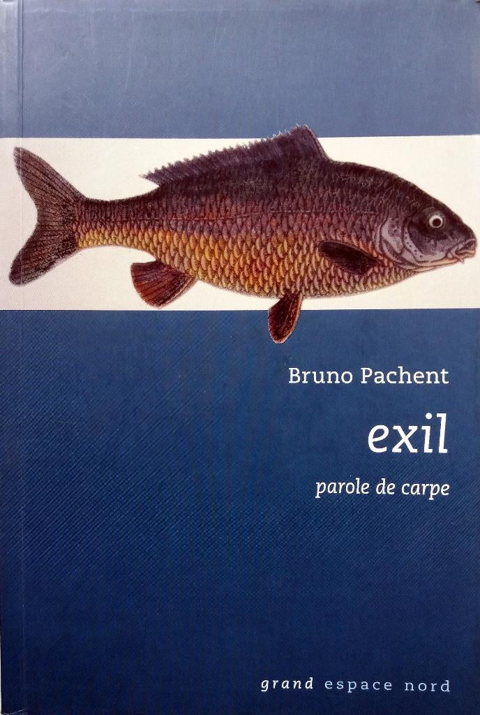 Bruno Pachent - Exil (Parole de carpe) (FRANSTALIG), Ophalen of Verzenden, Gelezen, Fictie