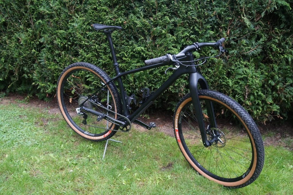 Carbon Gravelbike/ Beachracer 29r - Zo goed als nieuw, Overige merken, Gebruikt, Heren, 49 tot 53 cm