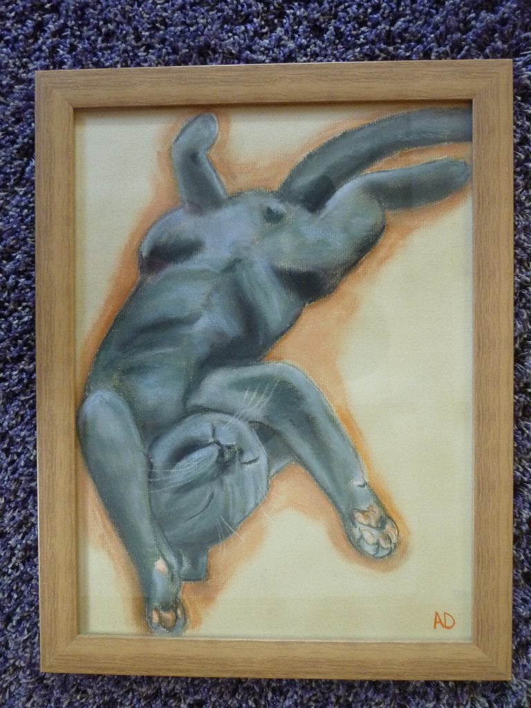 Katertje, Antiek en Kunst, Pastel, Papier/karton, Achter glas, Ophalen of Verzenden